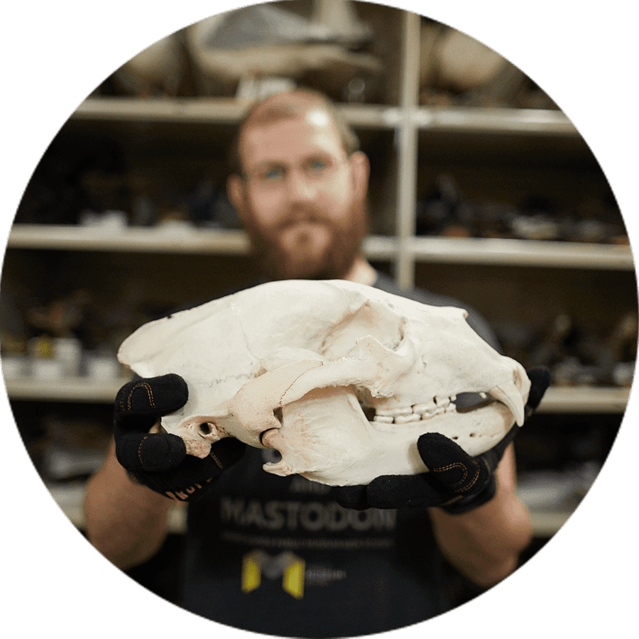 a student holding an animal skull