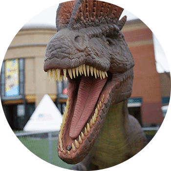 the head of a dinosaur model