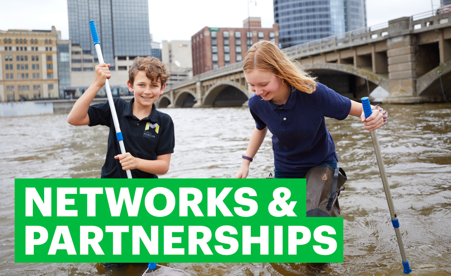Networks and Partnerships